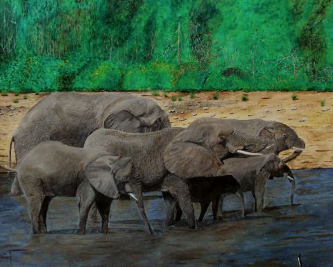  Eléphants